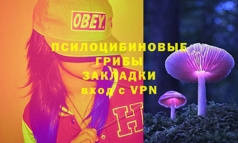 Галлюциногенные грибы Magic Shrooms  omg ССЫЛКА  Вичуга  купить  